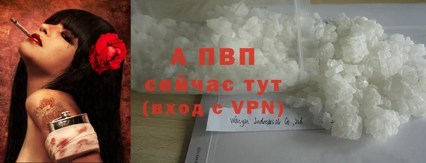 эйфоретик Гусиноозёрск