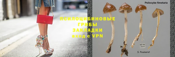 СК Гусев