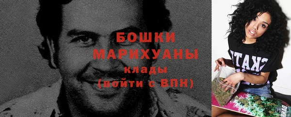гидра Горно-Алтайск