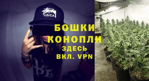 эйфоретик Гусиноозёрск
