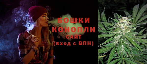 эйфоретик Гусиноозёрск