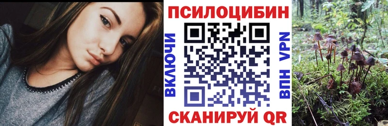 Галлюциногенные грибы MAGIC MUSHROOMS  Купить  Камышлов 